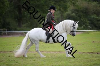 APP-2393