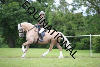 APP-2442
