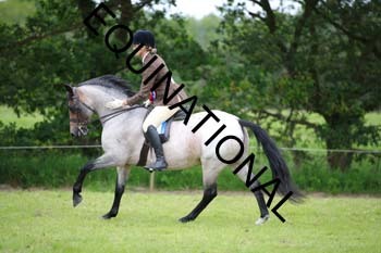 APP-2444