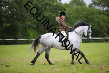 CRW-1196