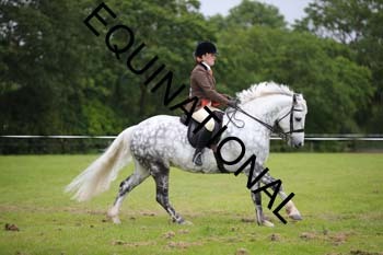 CRW-1198