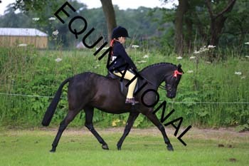 RUN-1107