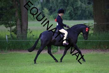 RUN-1123