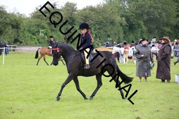 RUN-1135