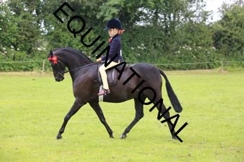 RUN-1157