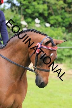 RUN-1199