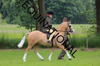 RUN-1307