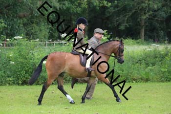 RUN-1309