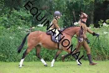 RUN-1315