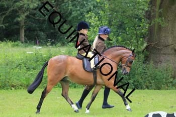 RUN-1324