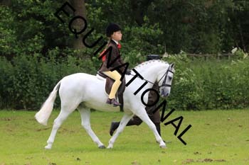 RUN-1326