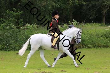 RUN-1327