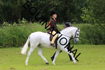 RUN-1328