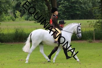 RUN-1329