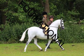 RUN-1338