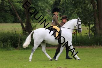 RUN-1341