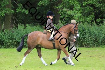 RUN-1342