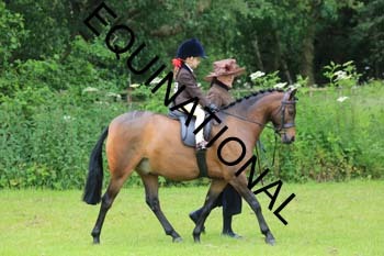 RUN-1348