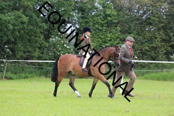 RUN-1352