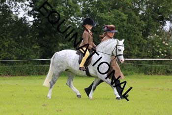 RUN-1361