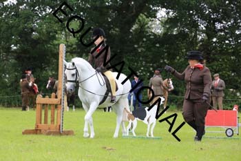 RUN-1371