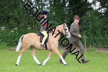 RUN-1434