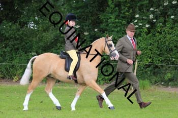 RUN-1436