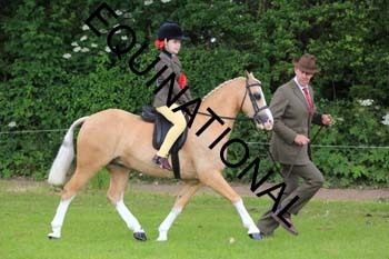RUN-1437
