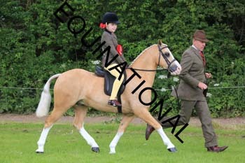 RUN-1438