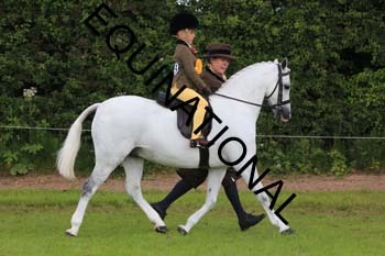 RUN-1446