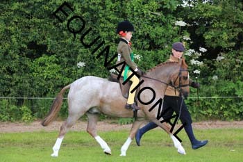 RUN-1449
