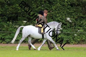 RUN-1463