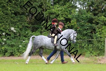 RUN-1467