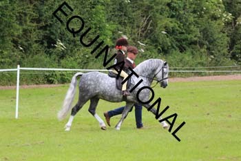 RUN-1468