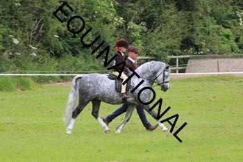 RUN-1469