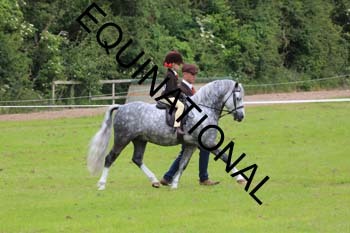 RUN-1470
