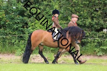 RUN-1471