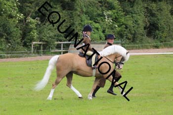 RUN-1478