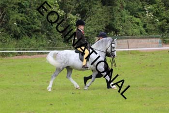 RUN-1482