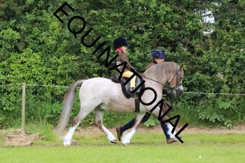 RUN-1487