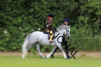 RUN-1490