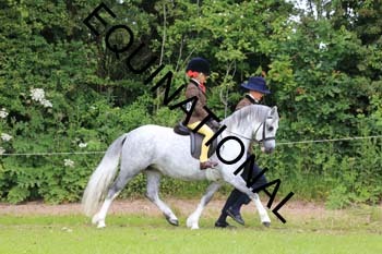 RUN-1491