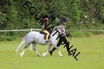 RUN-1492