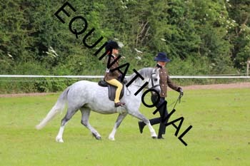 RUN-1493
