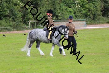 RUN-1501