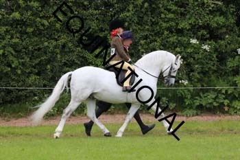 RUN-1511