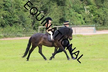 RUN-1517
