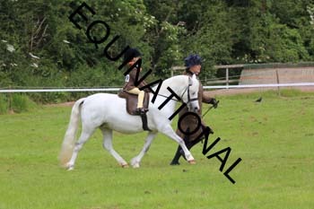 RUN-1523