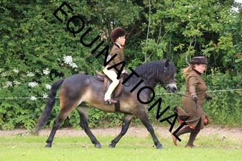 RUN-1524