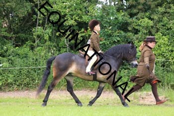 RUN-1525